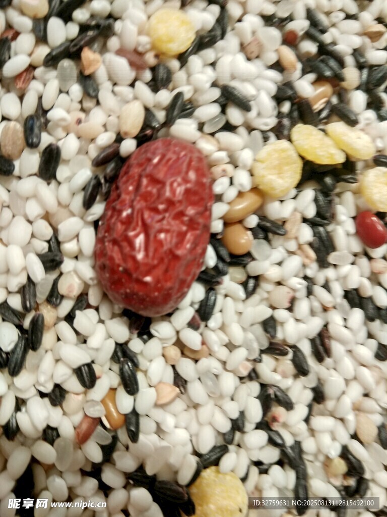 多彩谷物中的红色果实