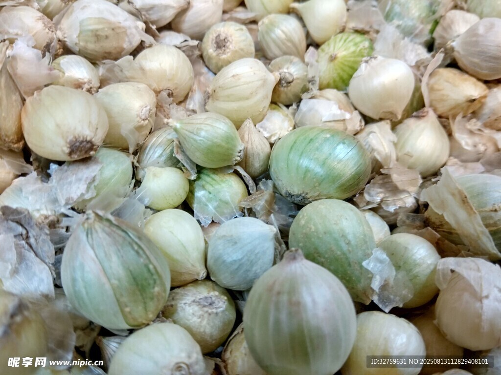新鲜洋葱堆成满满一堆