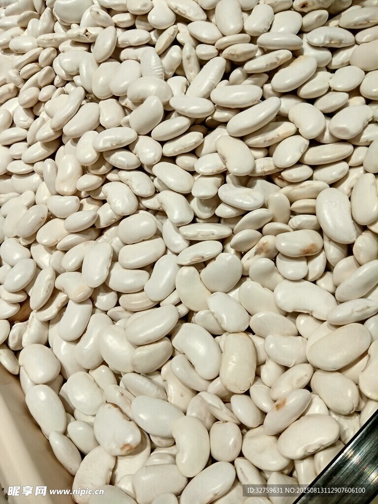 白芸豆