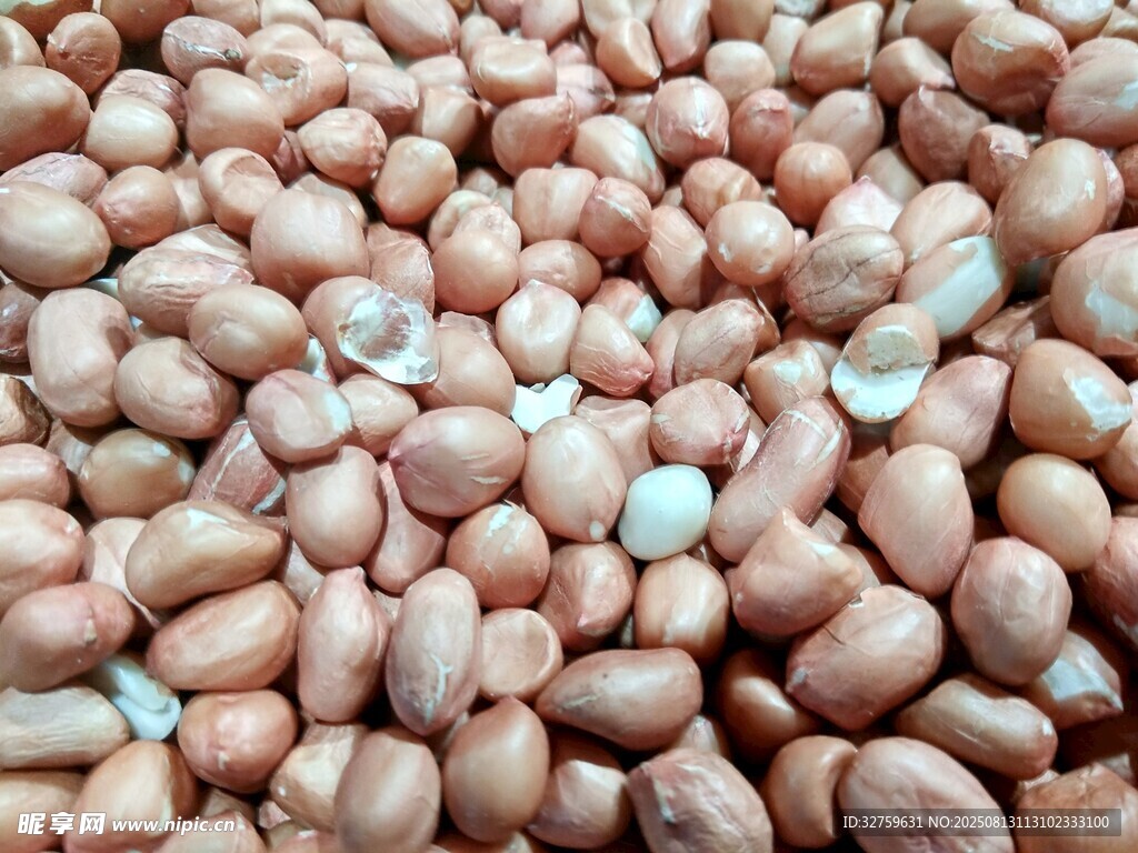 饱满花生米特写