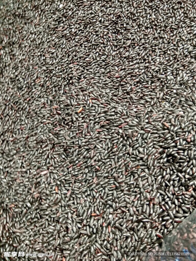 黑米