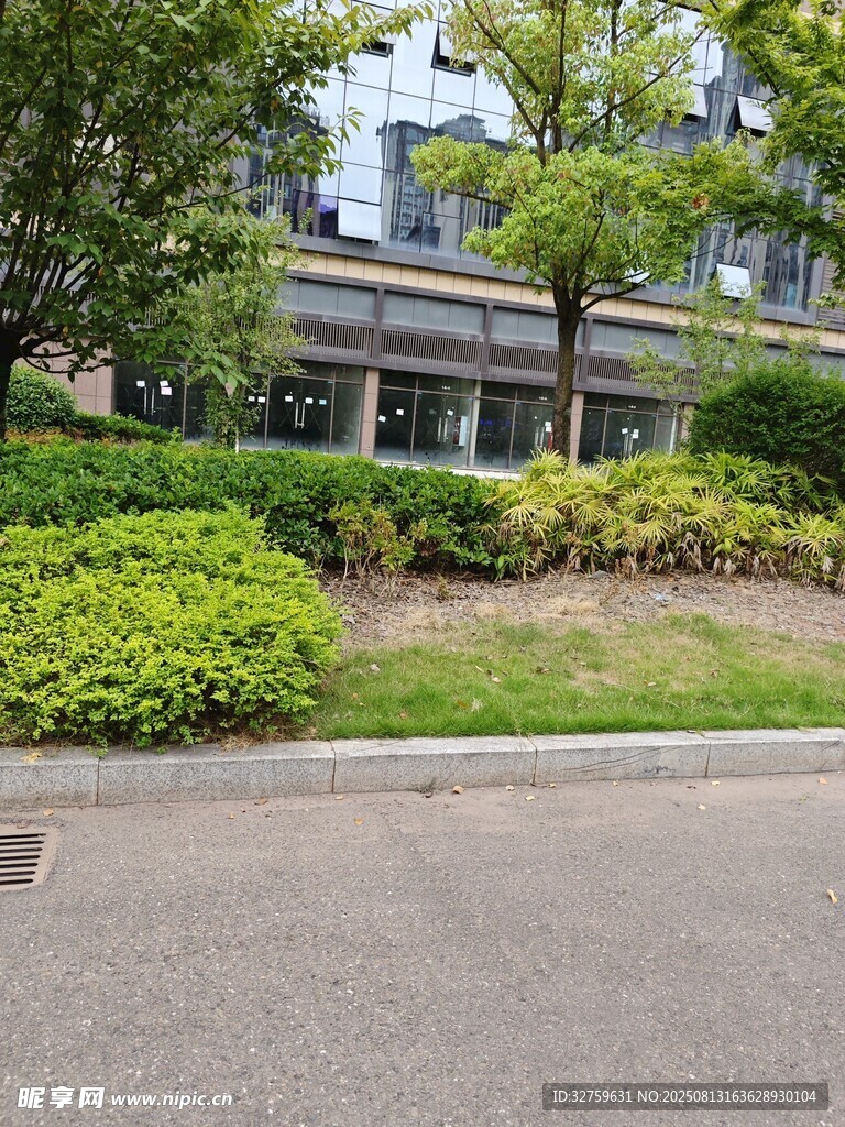 路边绿植与远处建筑景观