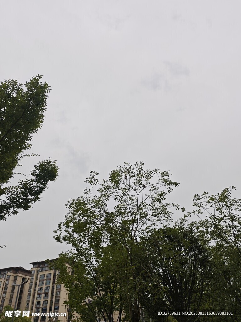 绿树掩映下的建筑一角