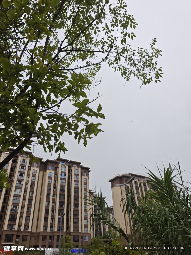 小区周边景致