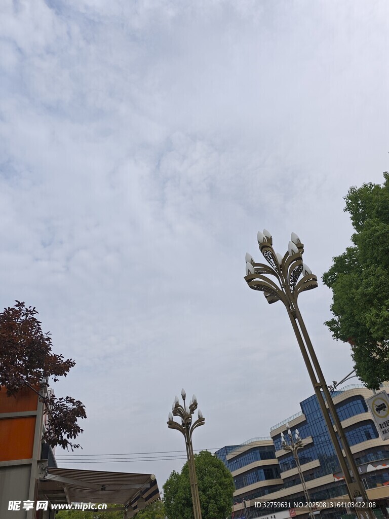 户外景观中的独特灯柱