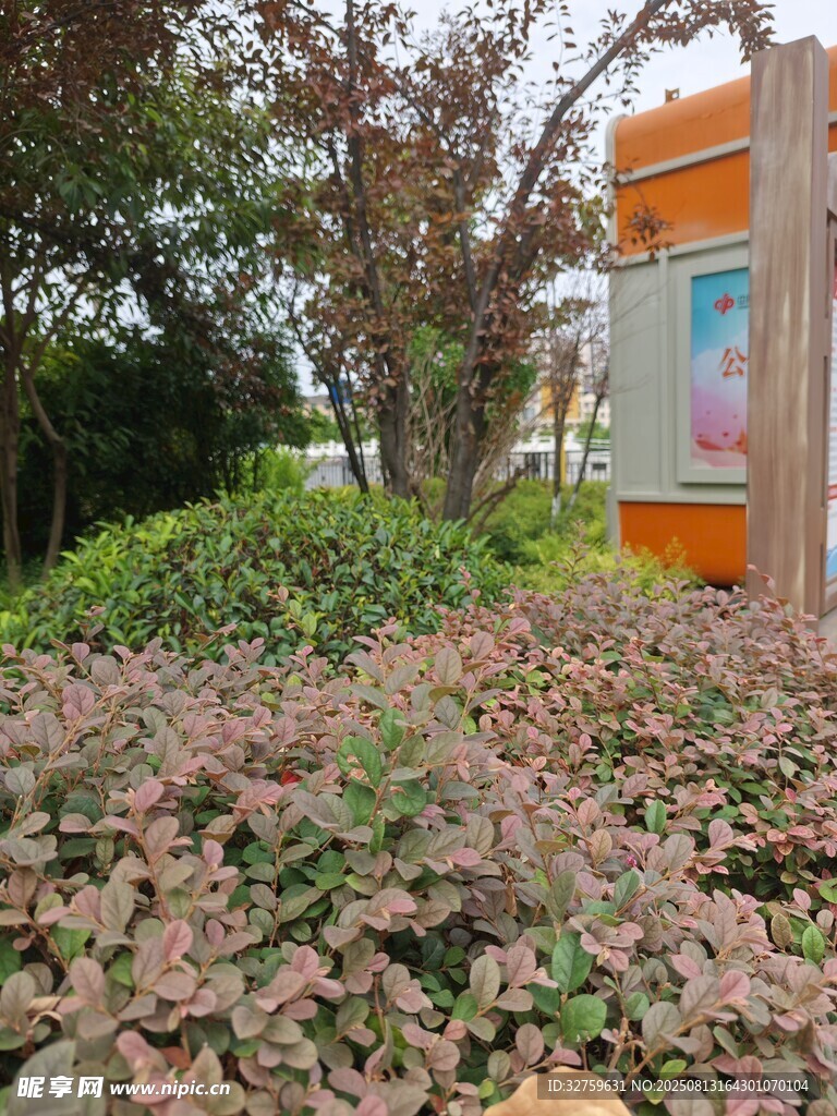 户外多彩植物与标识牌