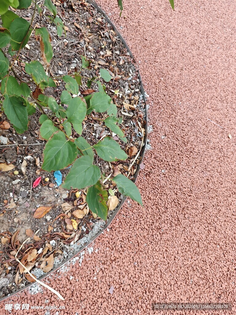 花坛边的绿植与彩色物件