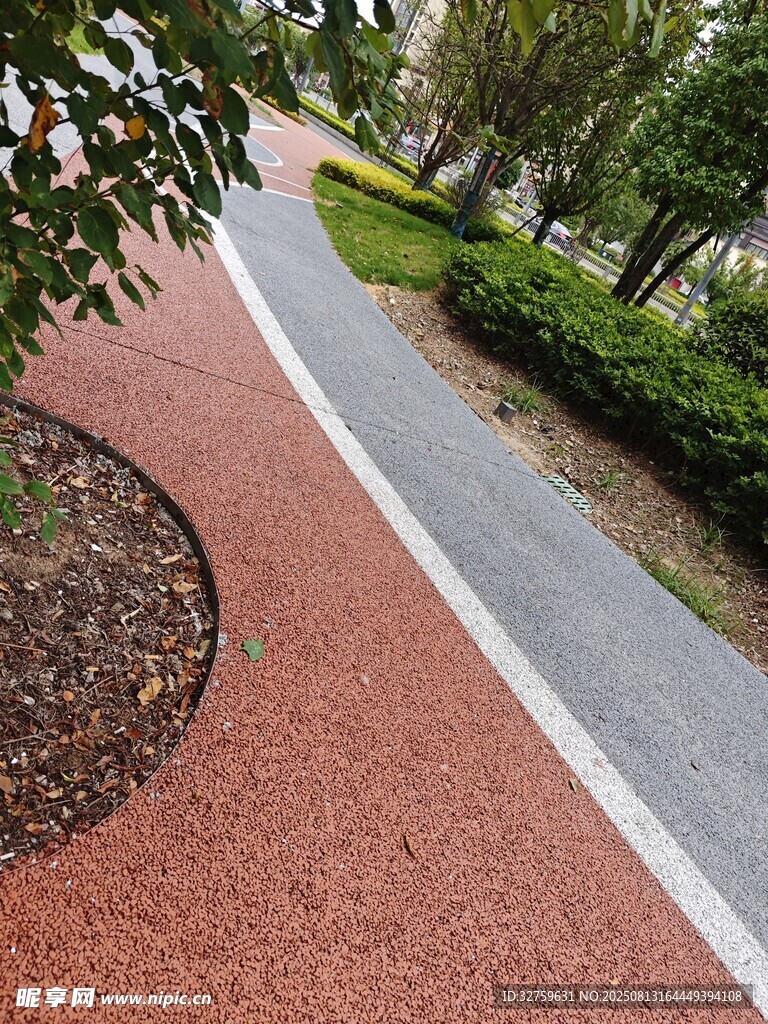 彩色步道旁的绿植景观