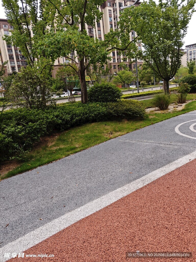 城市公园中的多彩步道景观