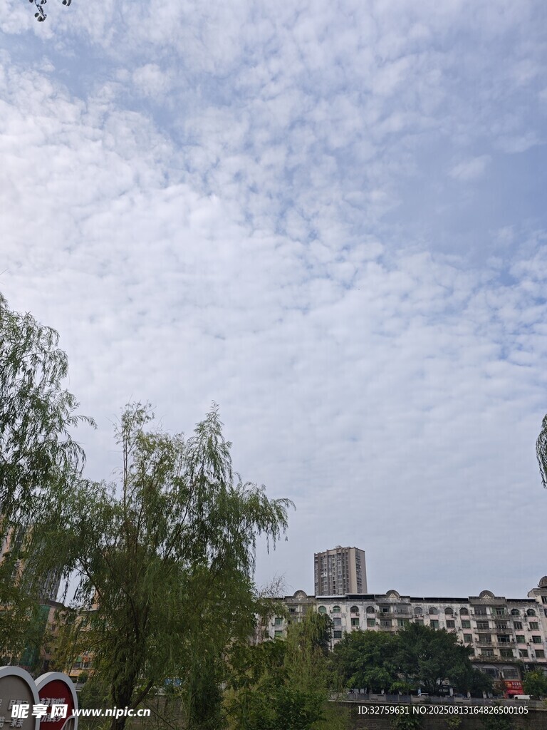 城市绿树蓝天风景图