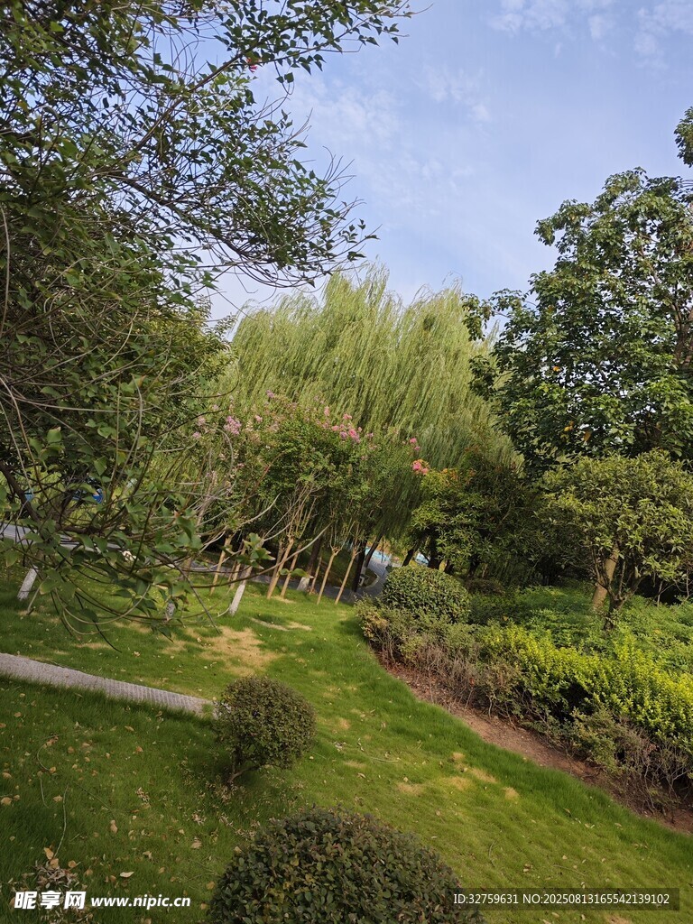 绿意盎然的户外园林景致