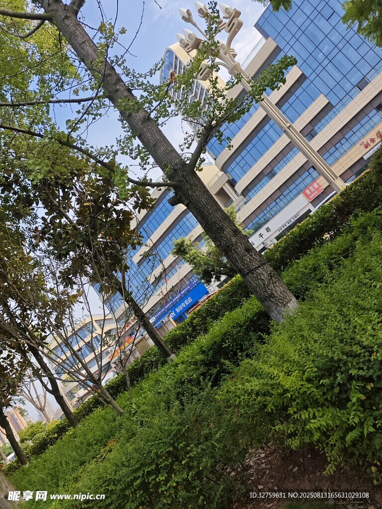 现代建筑旁的绿植景观