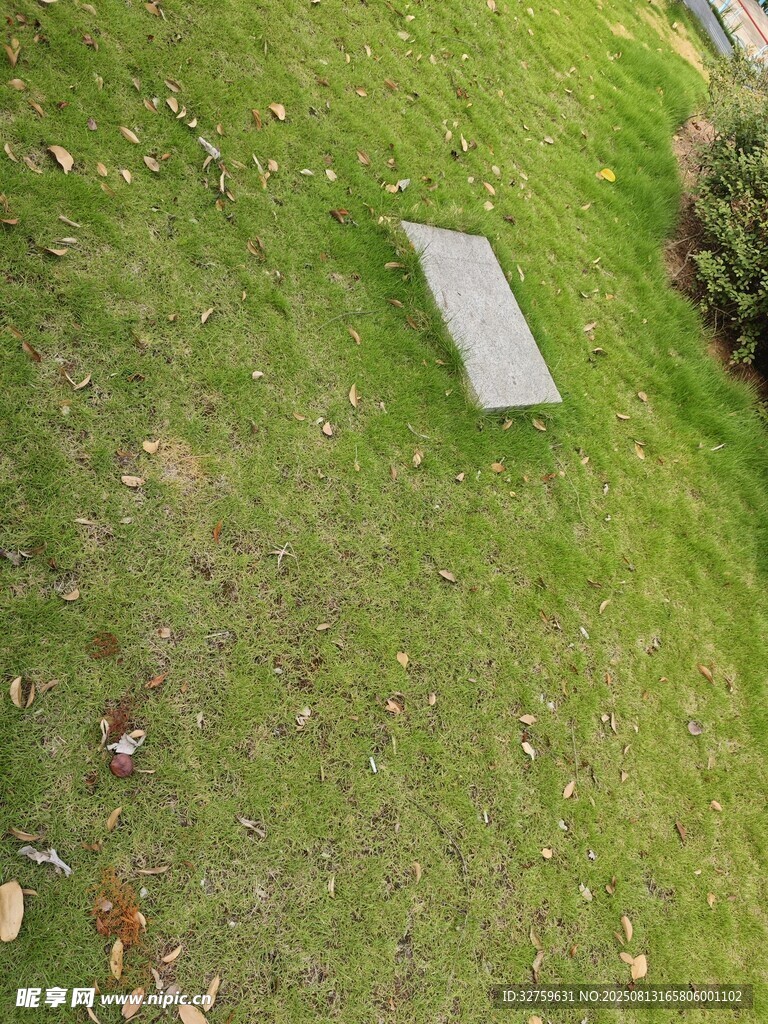 草地上的灰色石板