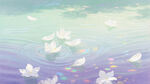 梦幻水面漂浮的白色花朵