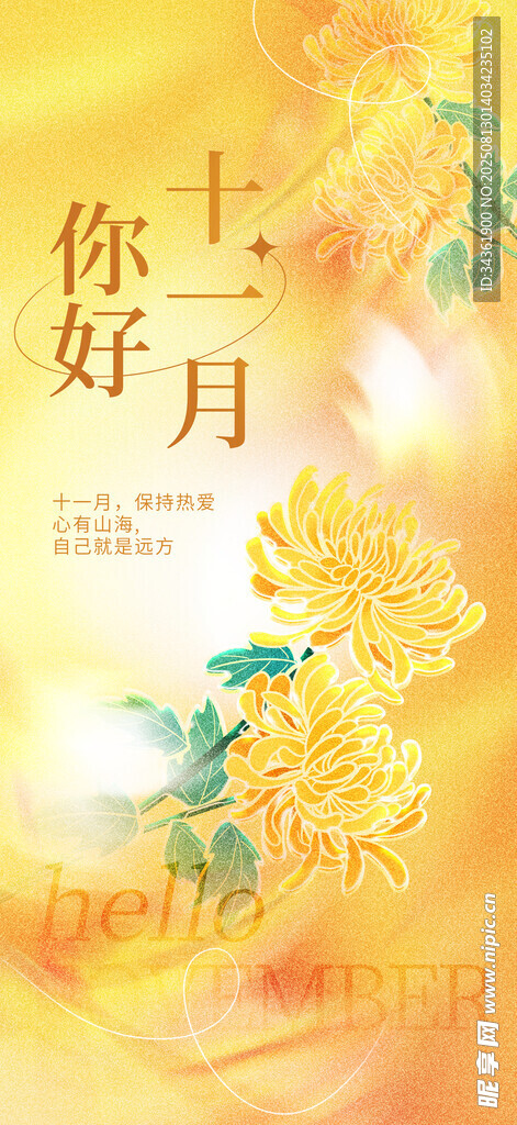你好十一月