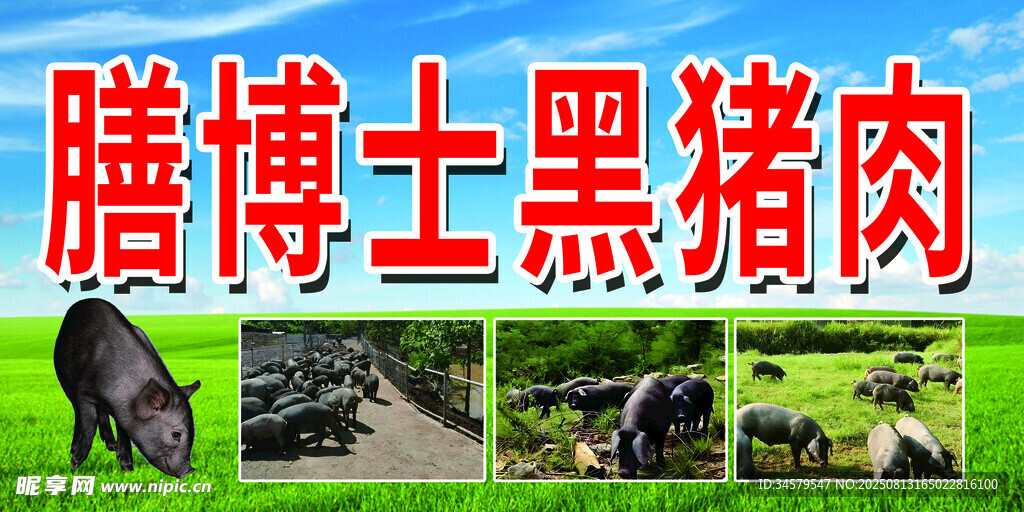 黑猪肉宣传图