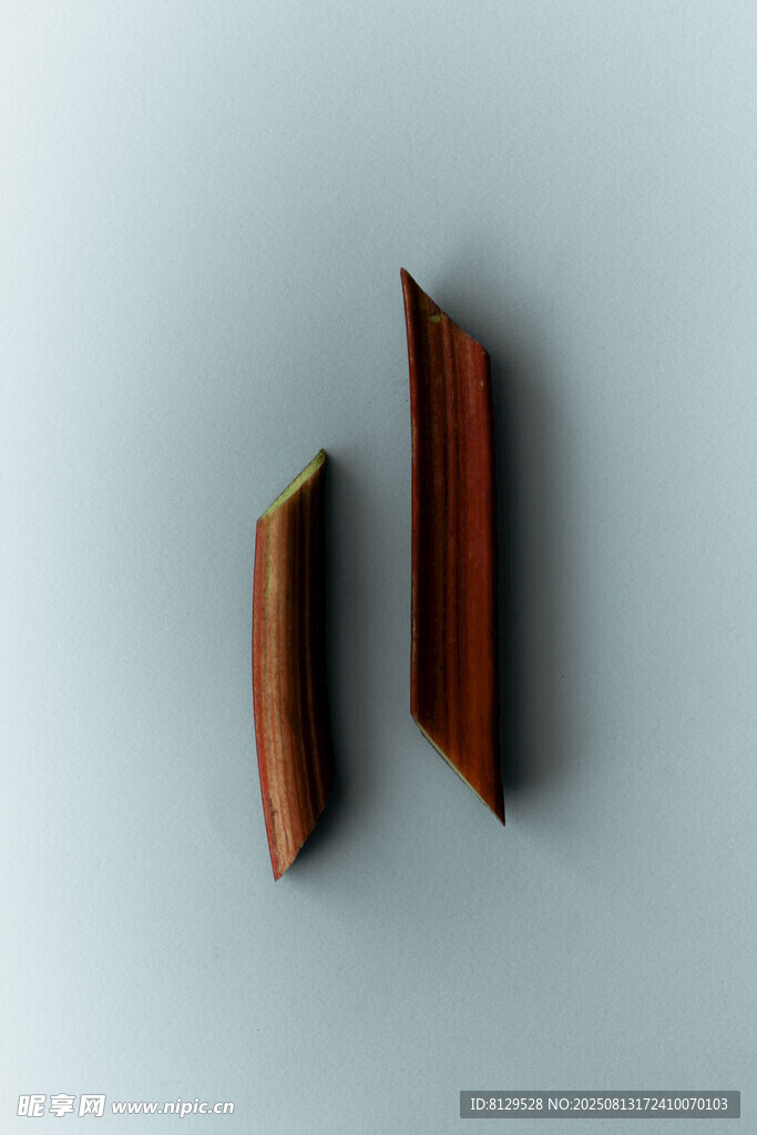 两片棕色长条状物体