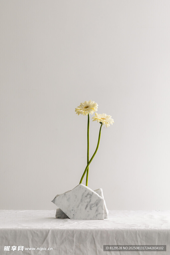 石上双花简约自然之美