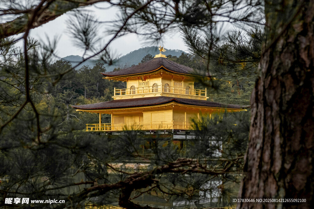 金阁寺掩映于林间美景
