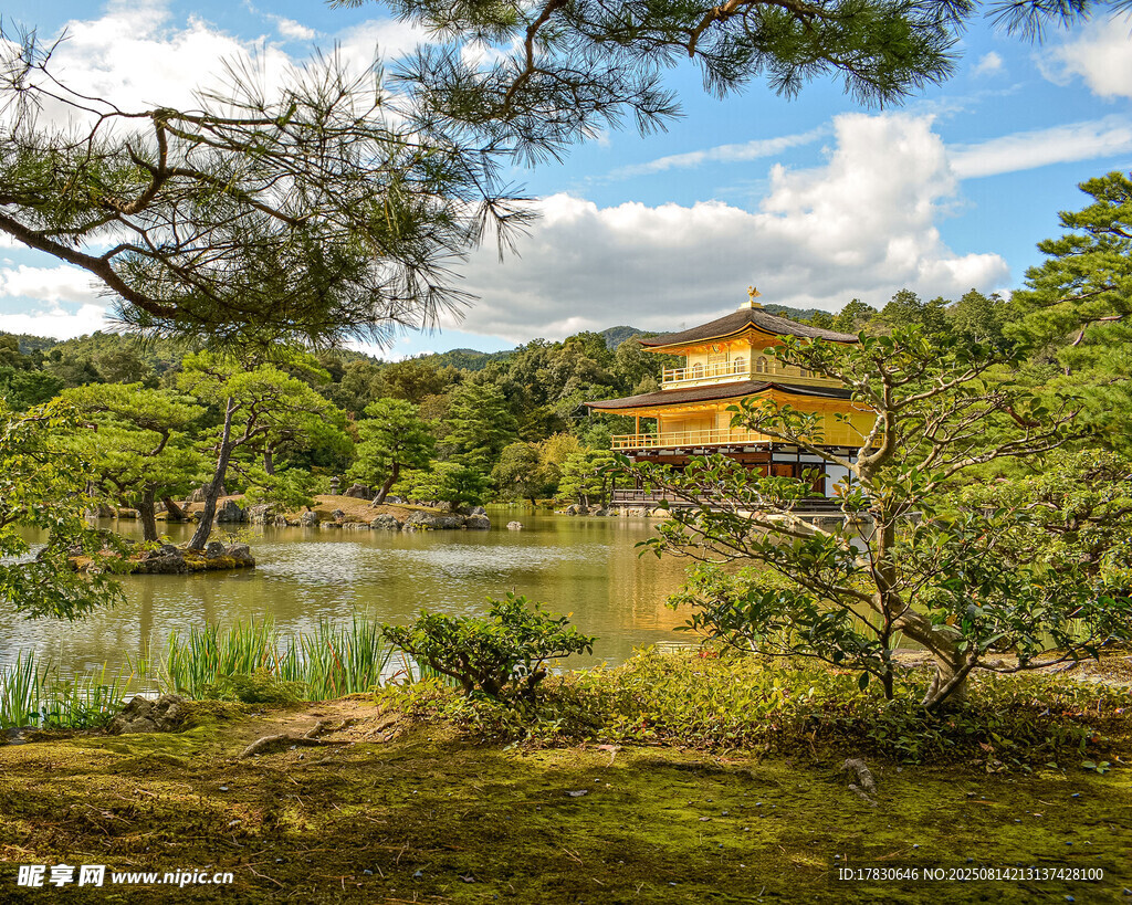 日本金阁寺湖畔美景
