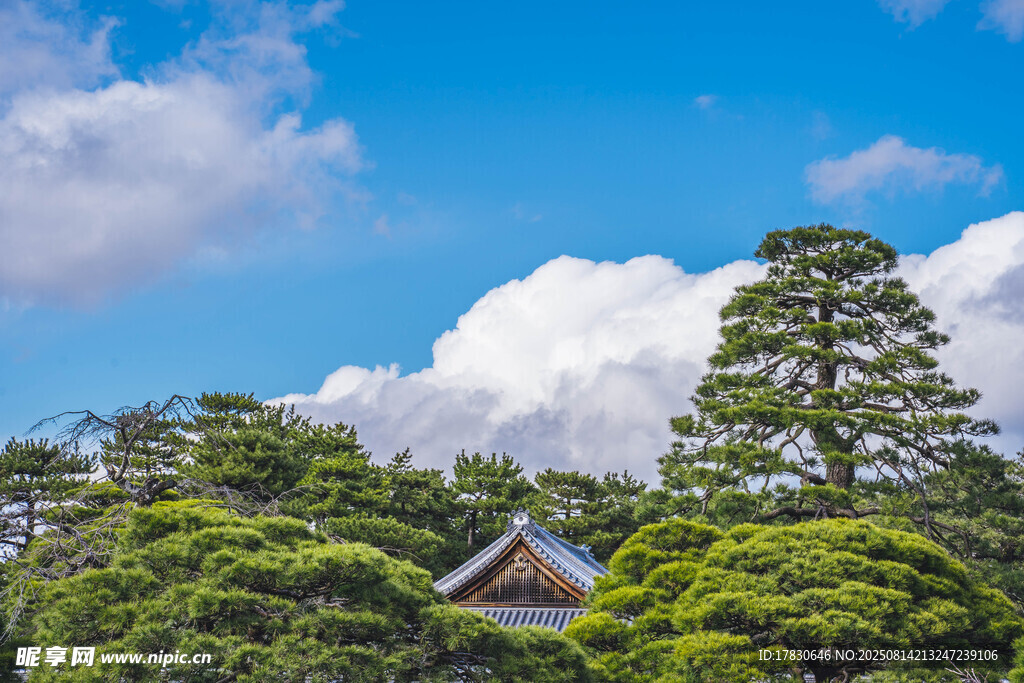 京都风光