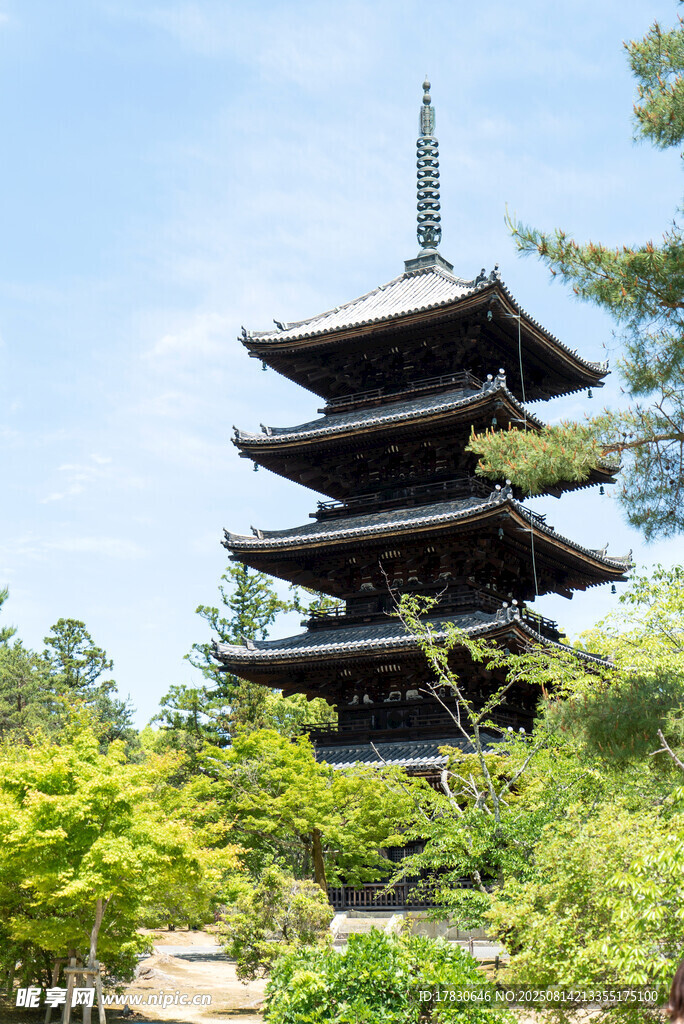 京都风光