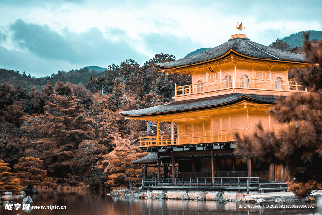 日本金阁寺美景