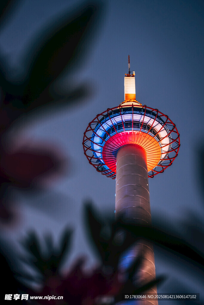 夜幕下的绚丽电视塔