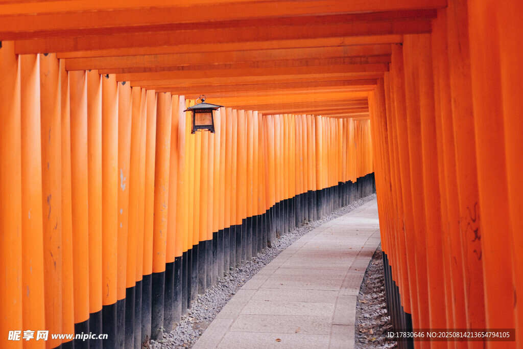 京都风光