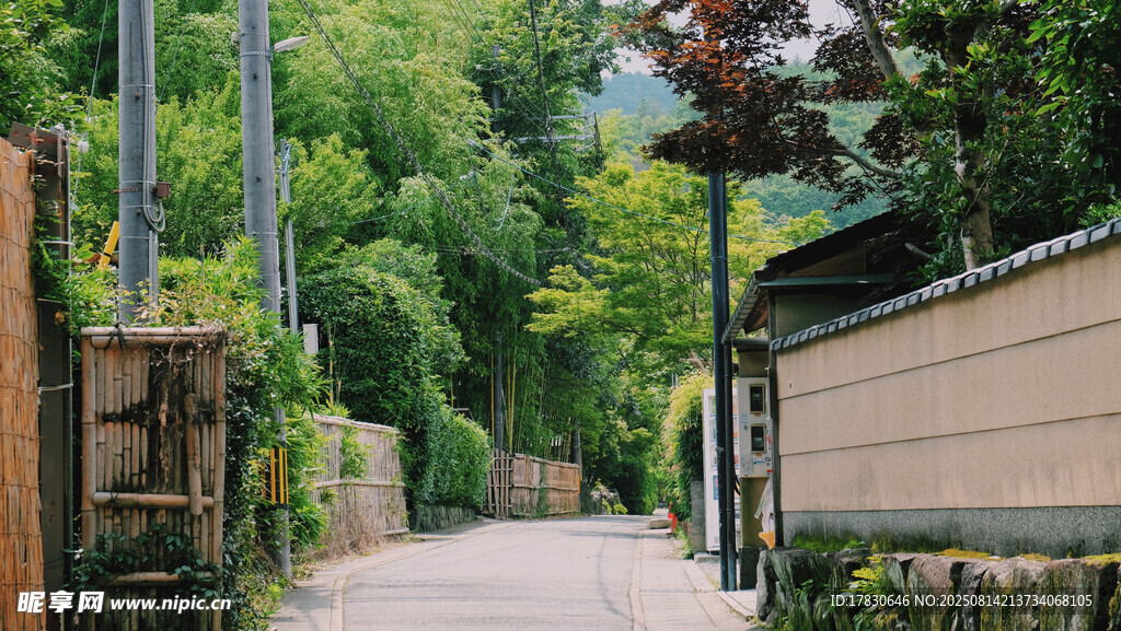 乡村幽静小道风景