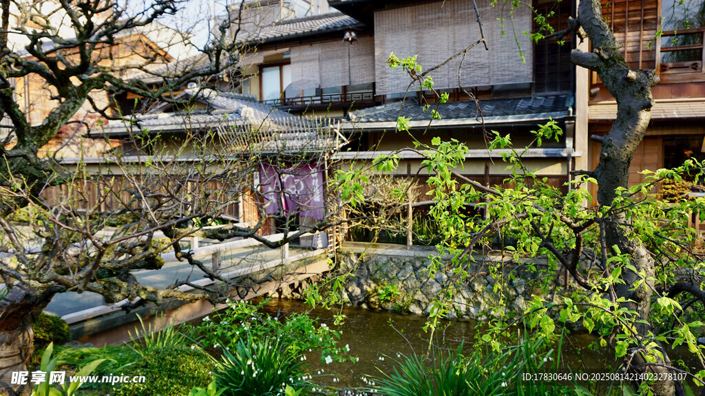 京都风光
