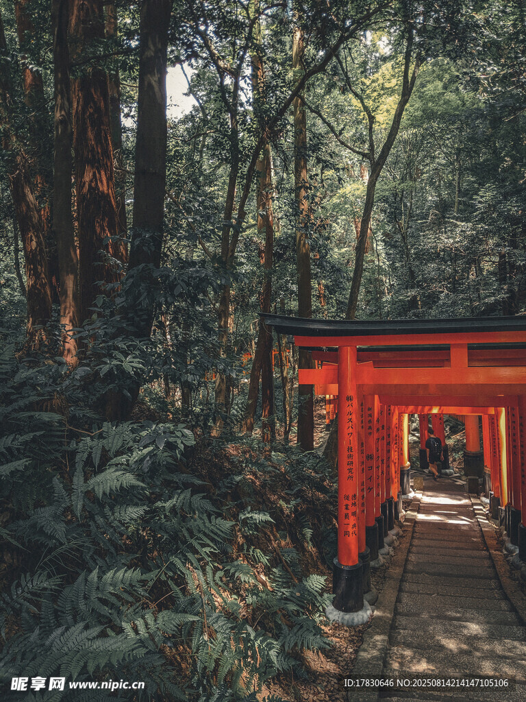 京都风光