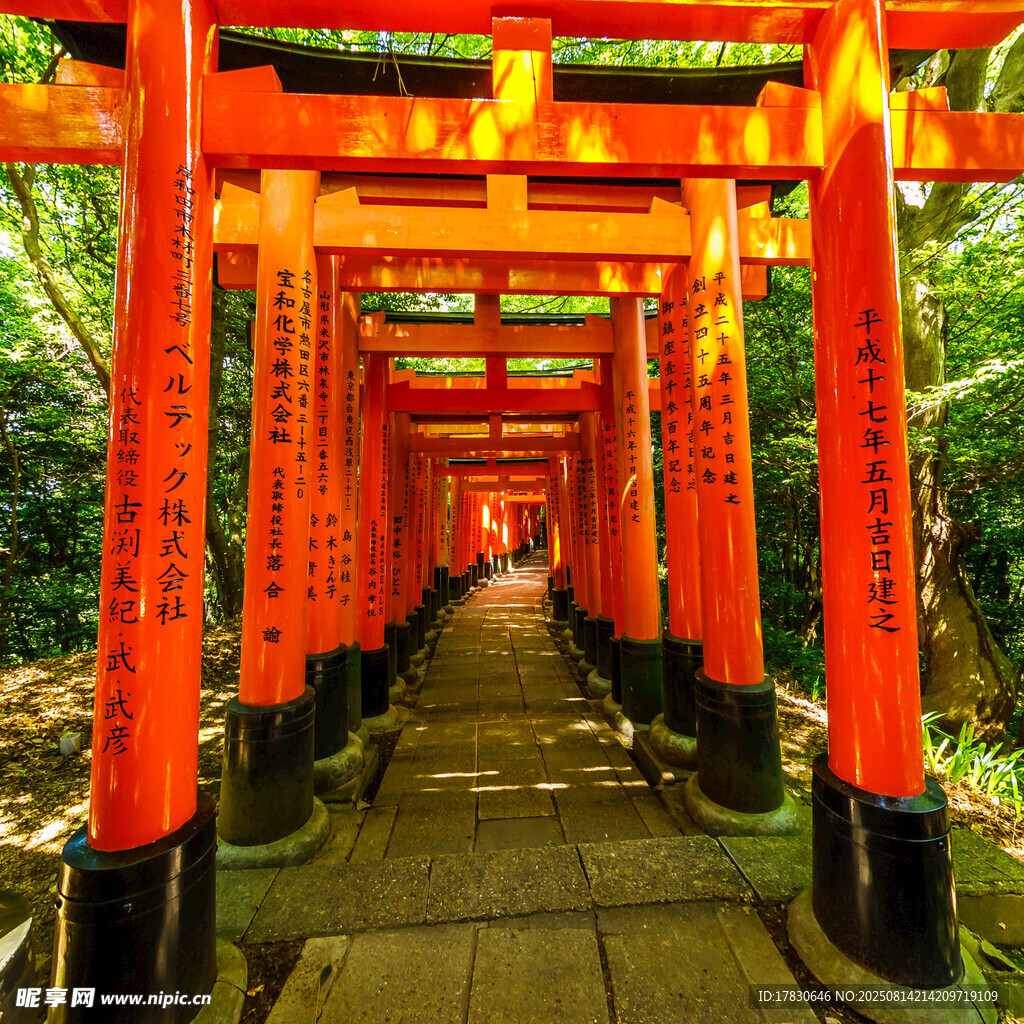京都风光