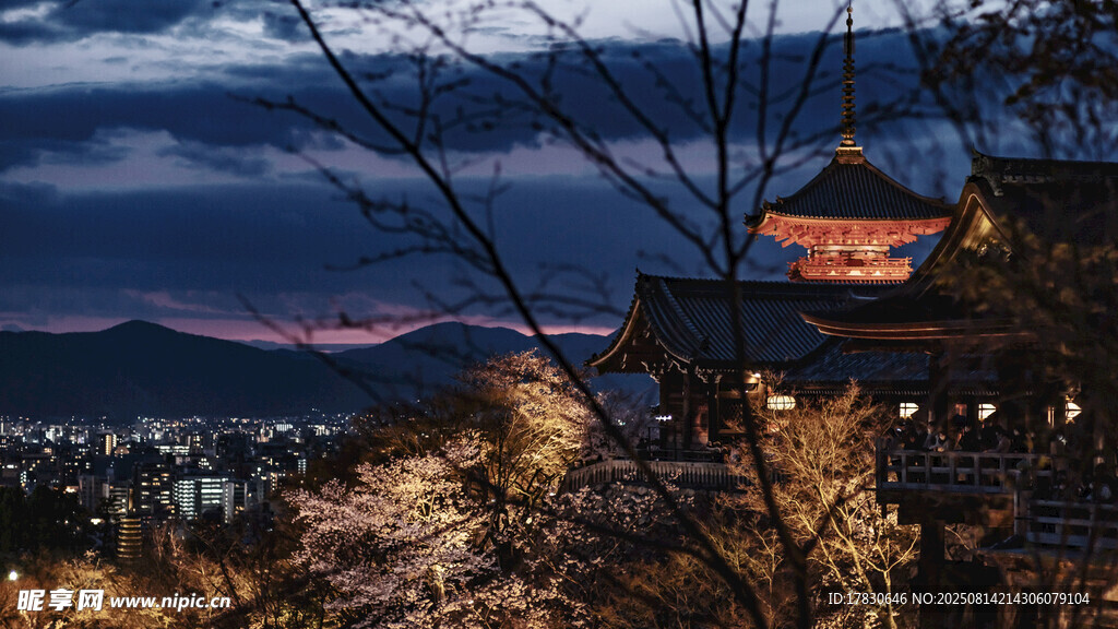 夜幕下的古建与城市景观
