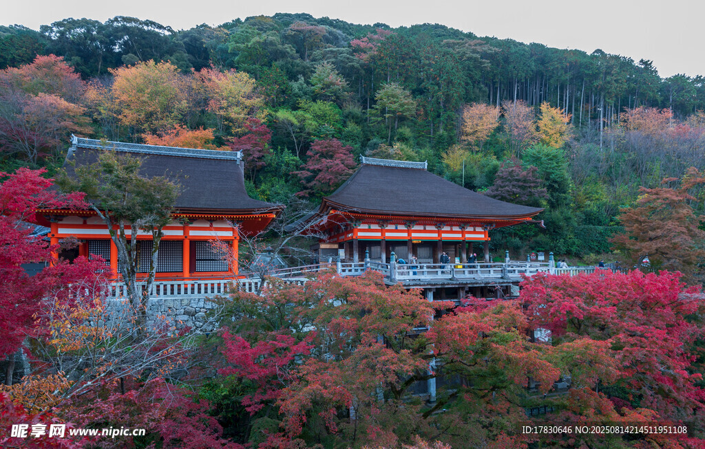 秋日山间古寺美景