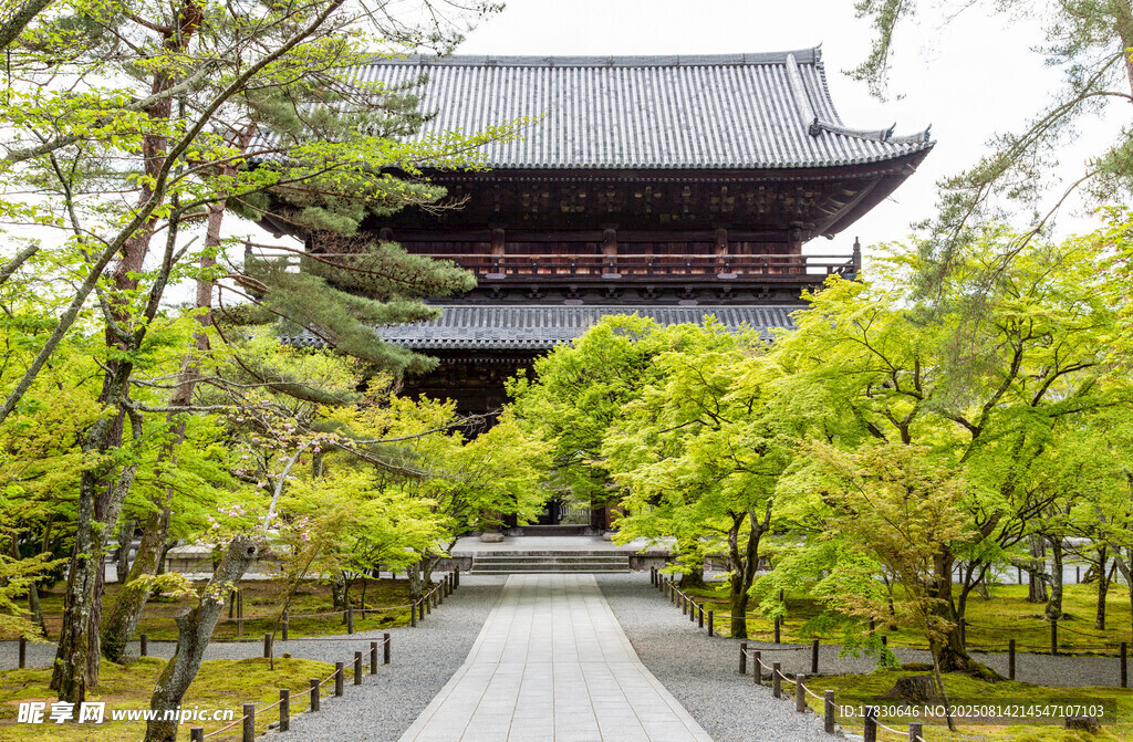 日式古寺林间景致
