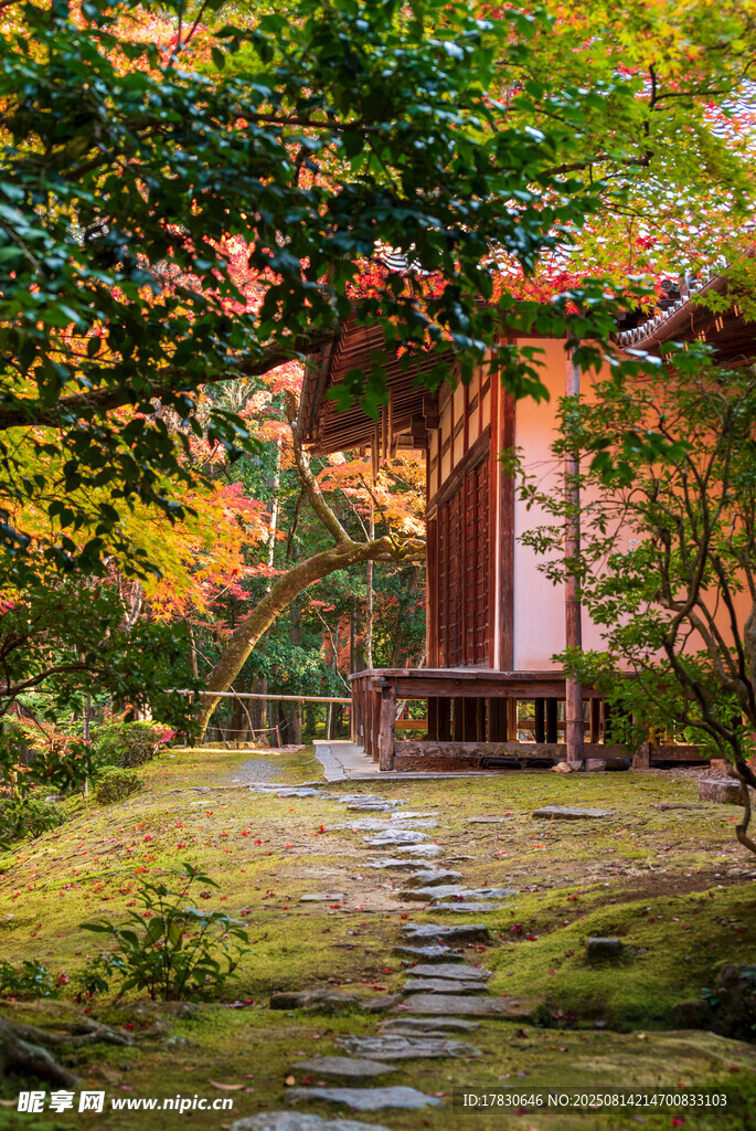 日式庭院中的静谧小屋