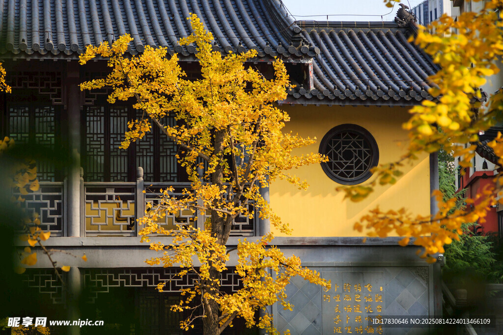 南京毗卢寺