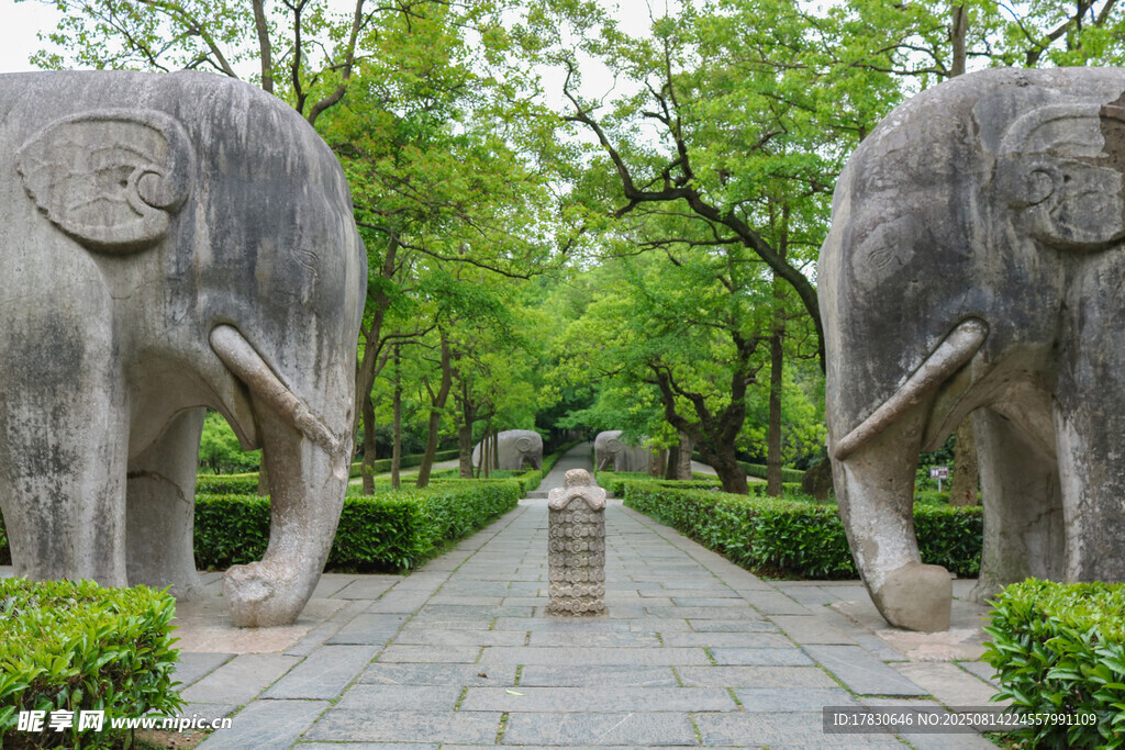 南京明孝陵古道
