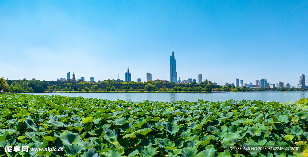 南京玄武湖夏日城市天际线