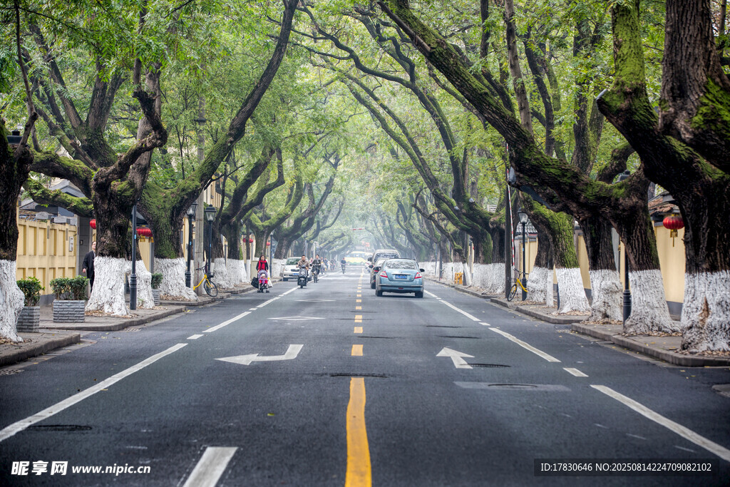 南京的马路