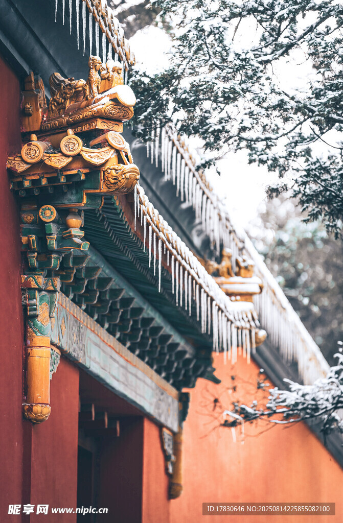 南京明孝陵文武方门红墙上冬天