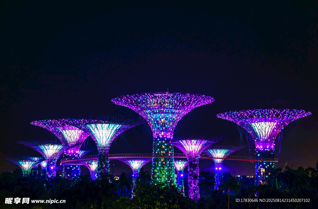 夜晚绚丽灯光树景观