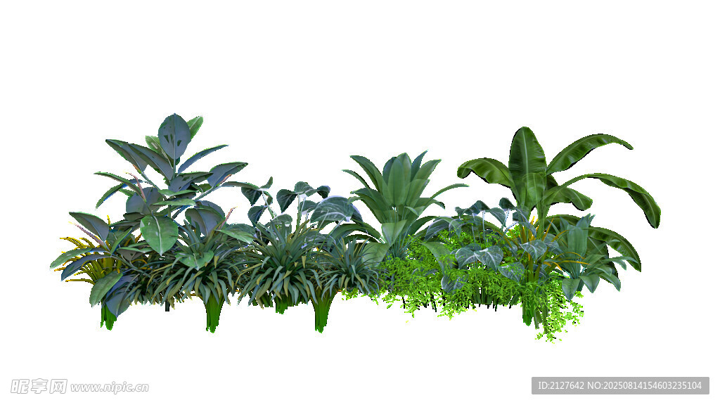 绿植组合展示