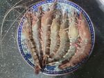 鲜虾
