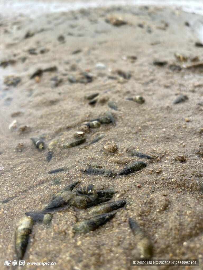 浅滩