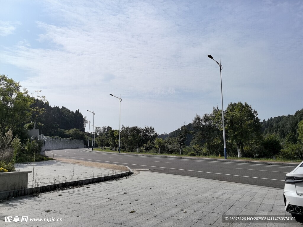 宽阔道路旁的绿树与车辆