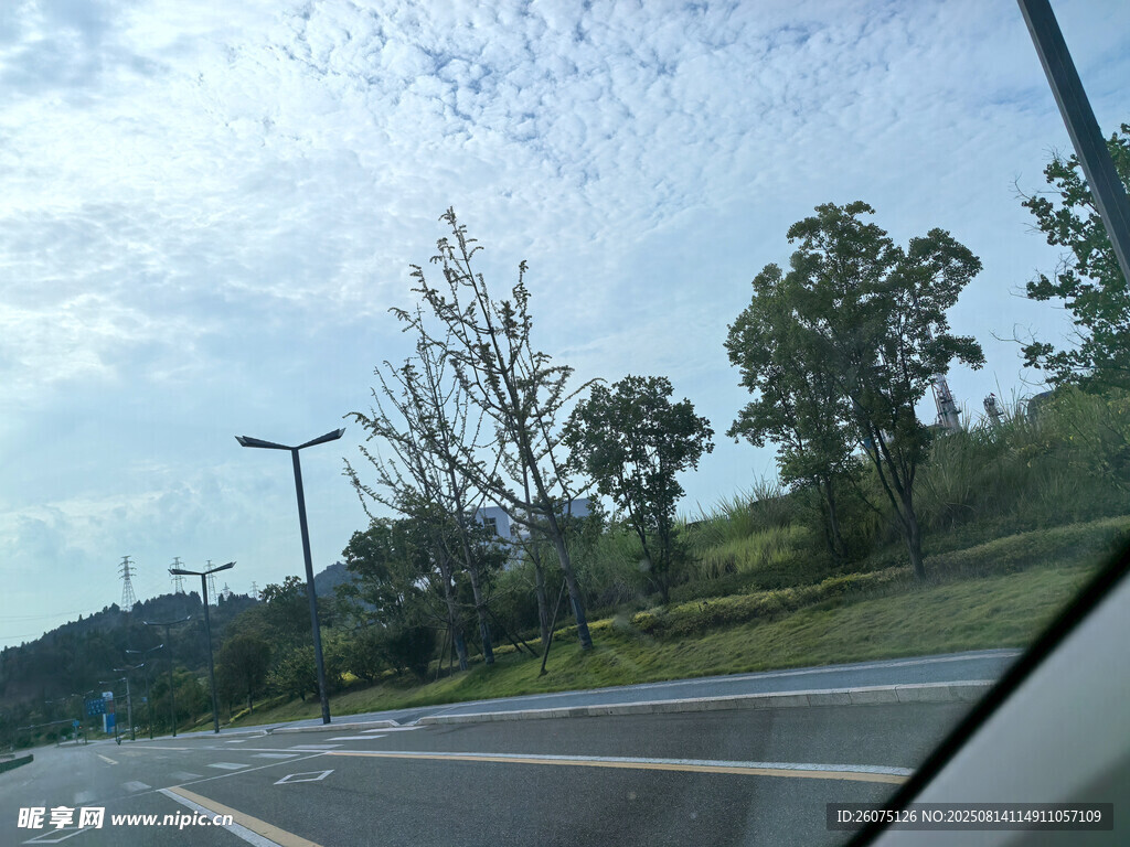 车内视角的道路风景