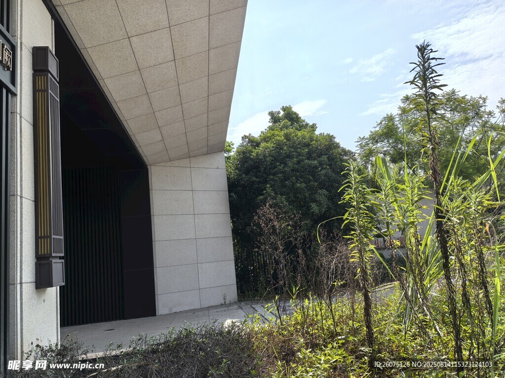 现代建筑旁的绿植景观