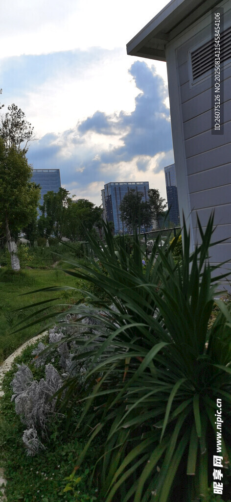 庭院绿植景观